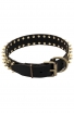 Spiked Leather Dog Collar with Gold-like Spikes