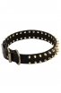 Spiked Leather Dog Collar with Gold-like Spikes