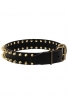 Spiked Leather Dog Collar with Gold-like Spikes