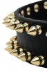 Spiked Leather Dog Collar with Gold-like Spikes