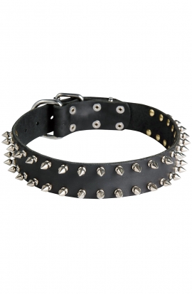 Wide Leather Spiked Dog Collar with 2 Rows of Spikes