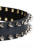 Wide Leather Spiked Dog Collar with 2 Rows of Spikes