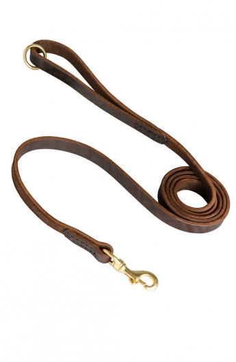 Handcrafted and Stitched Leather Dog Leash