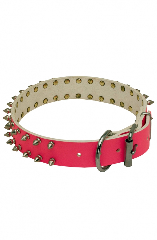 cool dog collars female