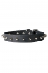 Awesome Spiked Leather Collar with 1 Row Nickel-Plated Spikes