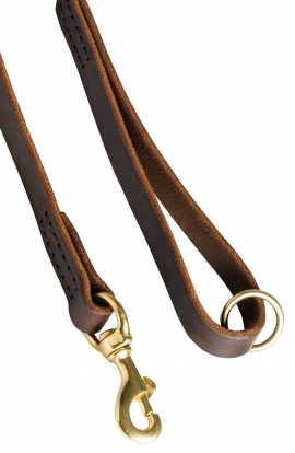 Handcrafted and Stitched Leather Dog Leash