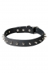 Awesome Spiked Leather Collar with 1 Row Nickel-Plated Spikes