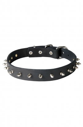 Awesome Spiked Leather Collar with 1 Row Nickel-Plated Spikes