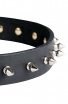 Awesome Spiked Leather Collar with 1 Row Nickel-Plated Spikes