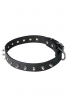 Awesome Spiked Leather Collar with 1 Row Nickel-Plated Spikes
