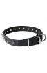 Awesome Spiked Leather Collar with 1 Row Nickel-Plated Spikes