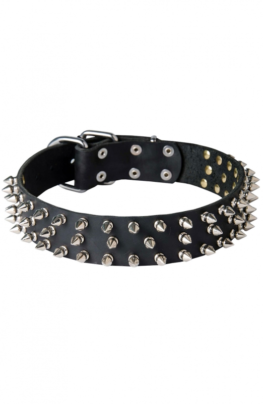 spiked Studded Leather Dog Collar 1-1/2" Wide Silver/Chrome 1/2" Spike Dome Stud 