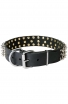 Wide Leather Spiked Dog Collar with 3 Rows of Spikes