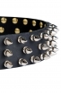 Wide Leather Spiked Dog Collar with 3 Rows of Spikes