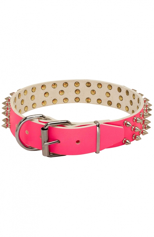 Spiked pink collar new arrivals