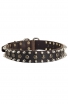 Spiked Leather Dog Collar with Awesome Decoration