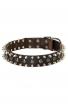 Spiked Leather Dog Collar with Awesome Decoration