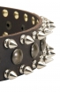 Spiked Leather Dog Collar with Awesome Decoration