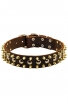 Modern Leather Dog Collar with 3 Rows of Brass Spikes and Nickel Studs