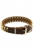 Modern Leather Dog Collar with 3 Rows of Brass Spikes and Nickel Studs