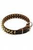 Modern Leather Dog Collar with 3 Rows of Brass Spikes and Nickel Studs