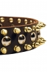 Modern Leather Dog Collar with 3 Rows of Brass Spikes and Nickel Studs