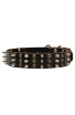 Unique Studded and Spiked Leather Dog Collar