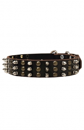 Unique Studded and Spiked Leather Dog Collar