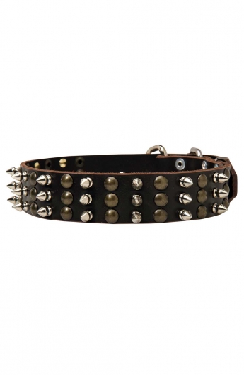 Unique Studded and Spiked Leather Dog Collar