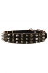 Unique Studded and Spiked Leather Dog Collar