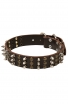 Unique Studded and Spiked Leather Dog Collar