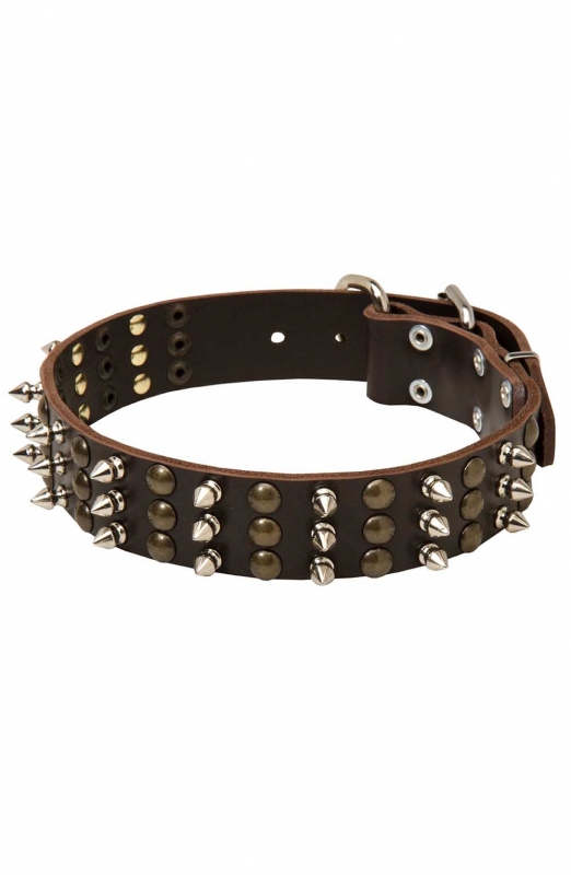 Unique Studded and Spiked Leather Dog Collar - Old Mill Store