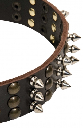 Unique Studded and Spiked Leather Dog Collar