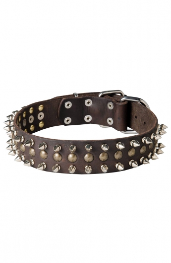 Spiked Leather Dog Collar and Braided Leash Set - Old Mill Store