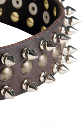 War Leather Dog Collar with 2 Rows Spikes+1 Row Old Brass Studs