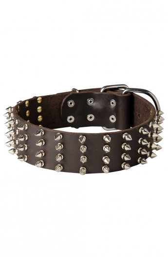 Spiked Leather Dog Collar and Braided Leash Set - Old Mill Store