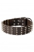 Wide Leather Spiked Dog Collar for Medium and Large Dog Breeds