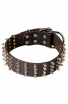 Wide Leather Spiked Dog Collar for Medium and Large Dog Breeds