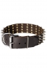 Wide Leather Spiked Dog Collar for Medium and Large Dog Breeds