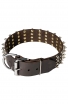 Wide Leather Spiked Dog Collar for Medium and Large Dog Breeds