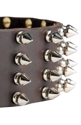 Wide Leather Spiked Dog Collar for Medium and Large Dog Breeds