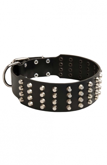 Large Dog Collar