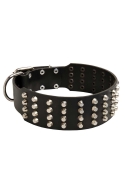 Extra Wide Studded Leather Dog Collar with Pyramids for Large Dogs