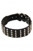 Extra Wide Studded Leather Dog Collar with Pyramids for Large Dogs