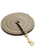 Extra Long Dog Leash - 3/8 inch Wide