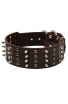 Extra Wide Leather Dog Collar with 4 Rows of Studs and Spikes
