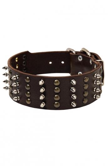 Extra Wide Leather Dog Collar with 4 Rows of Studs and Spikes