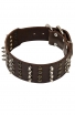 Extra Wide Leather Dog Collar with 4 Rows of Studs and Spikes