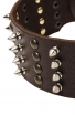 Extra Wide Leather Dog Collar with 4 Rows of Studs and Spikes