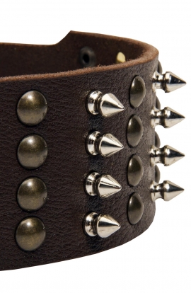 Extra Wide Leather Dog Collar with 4 Rows of Studs and Spikes